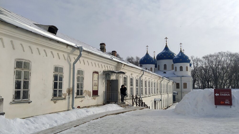 ________IMG_20230224_112530.jpg