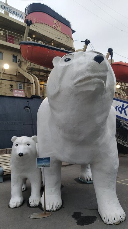 ________IMG_20250423_200659.jpg