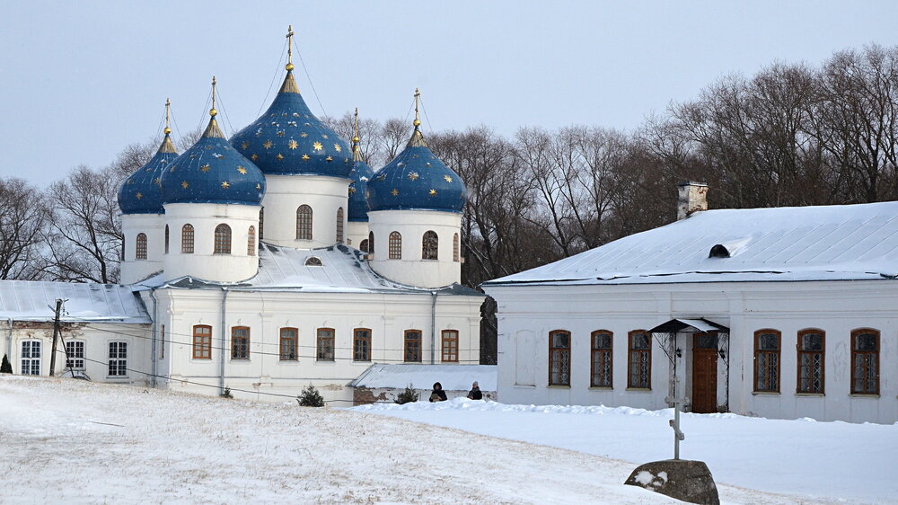 _________DSC_3727.JPG