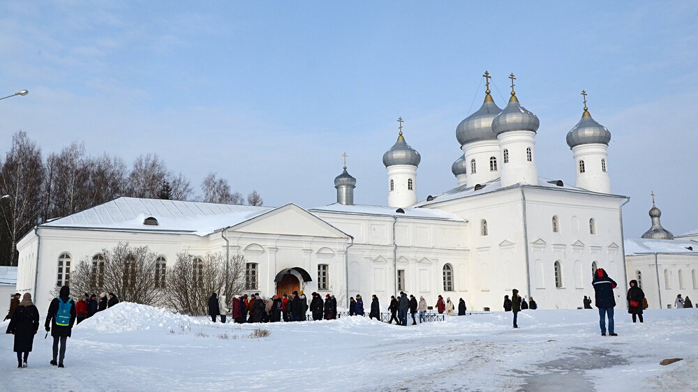 _________DSC_3730.JPG