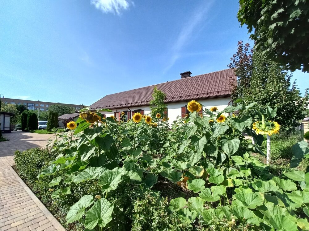 20240824_153420. Немецкий дом.jpg