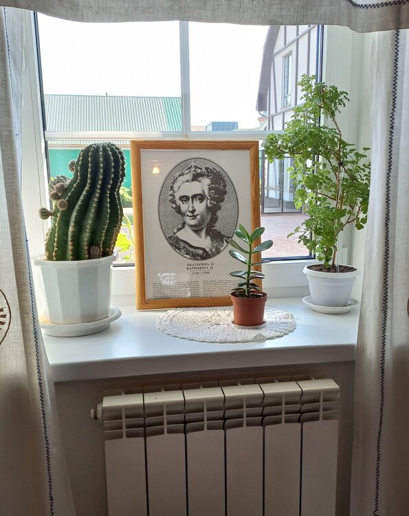 20240824_164442. Немецкий дом.jpg