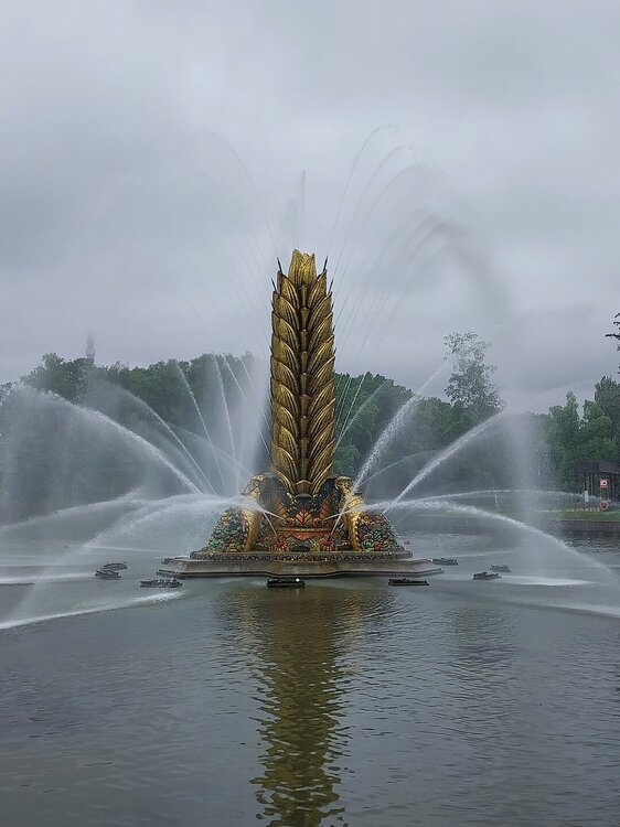 20250615_120705.jpg