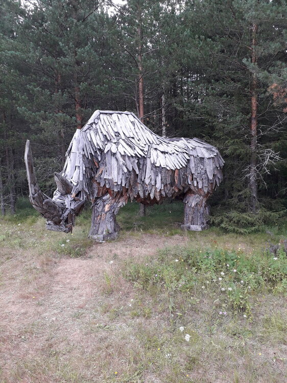20250803_133620.jpg
