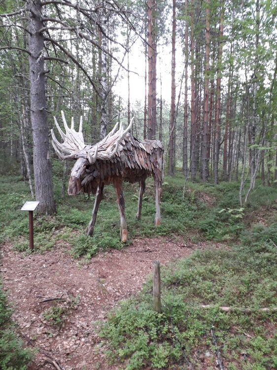 20250803_134040.jpg