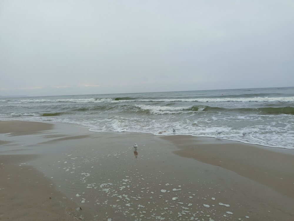 IMG20250805192640.jpg