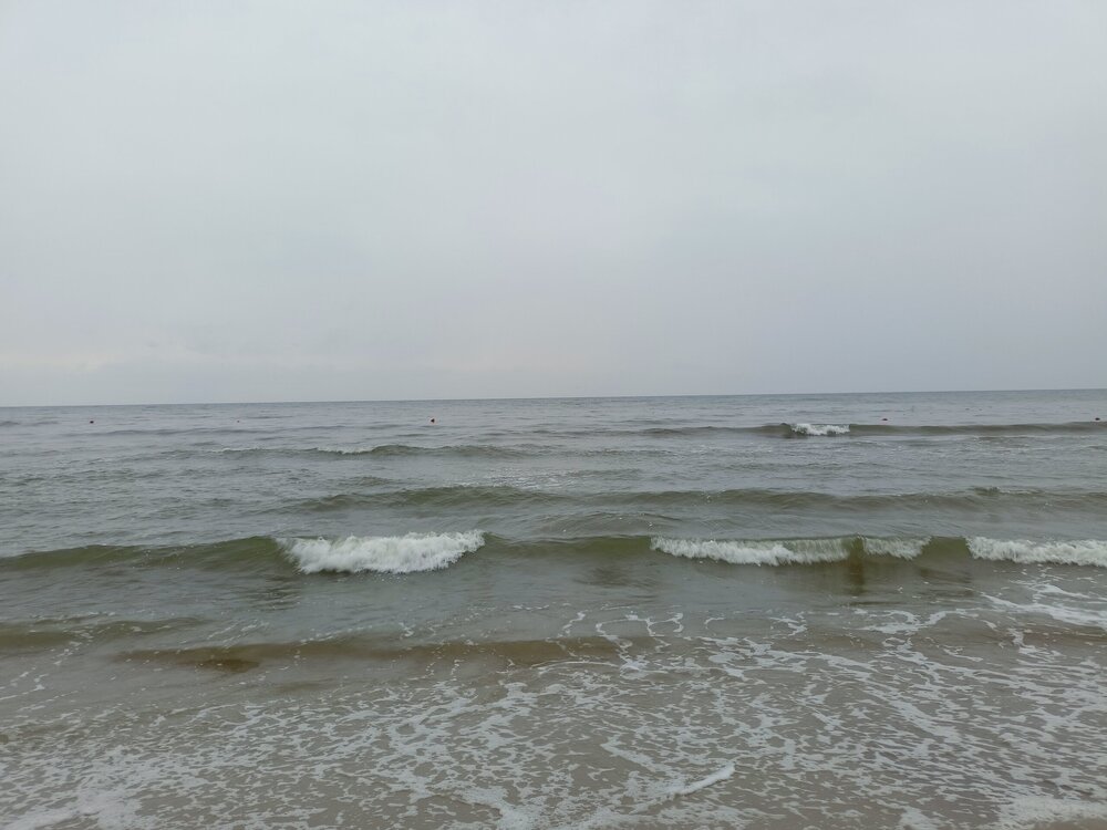 IMG20250805193109.jpg