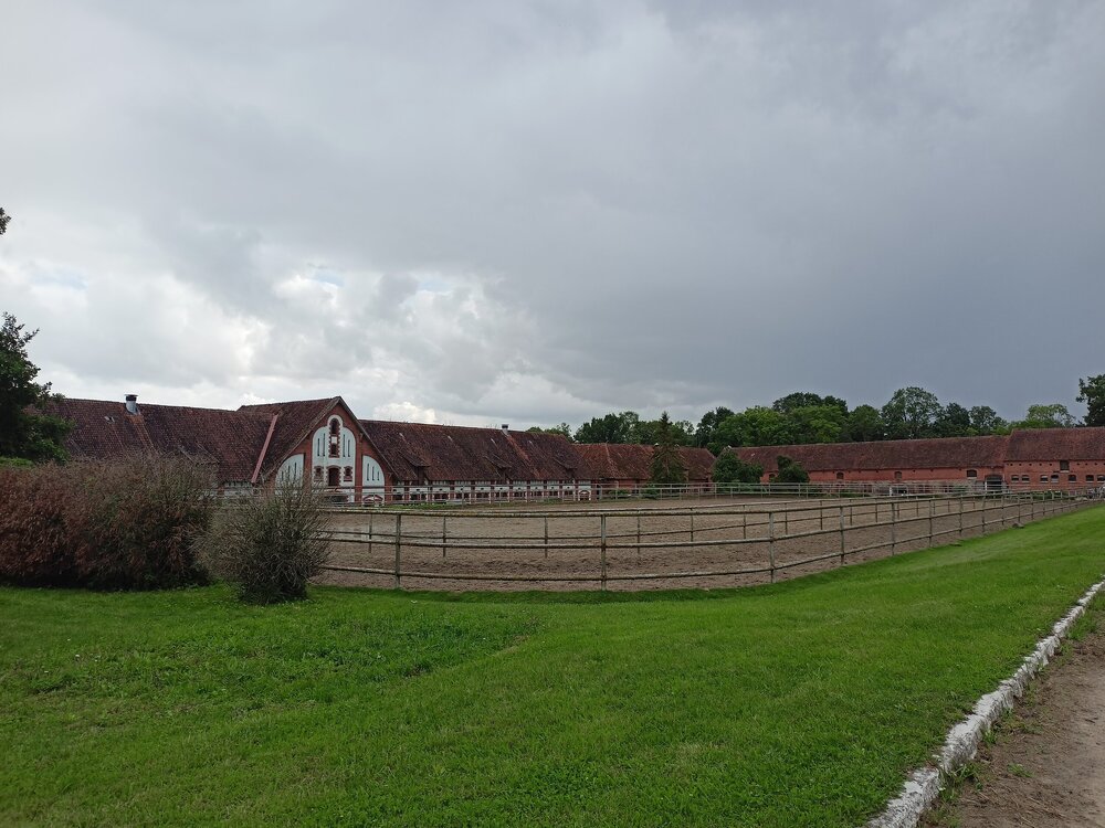 IMG20250806153202.jpg