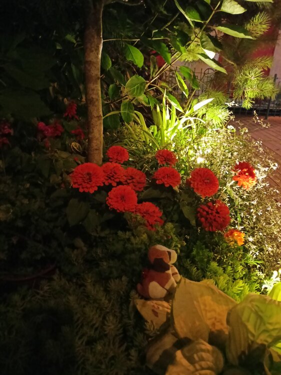 IMG20250810212701.jpg