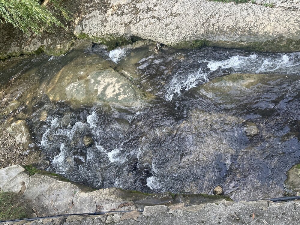 IMG_0080.jpeg
