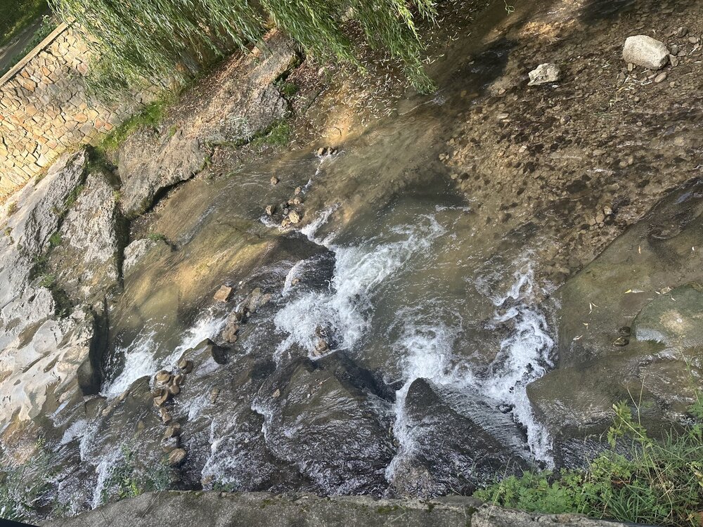 IMG_0081.jpeg