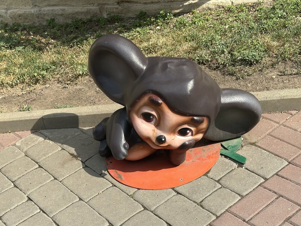 IMG_0132.jpeg