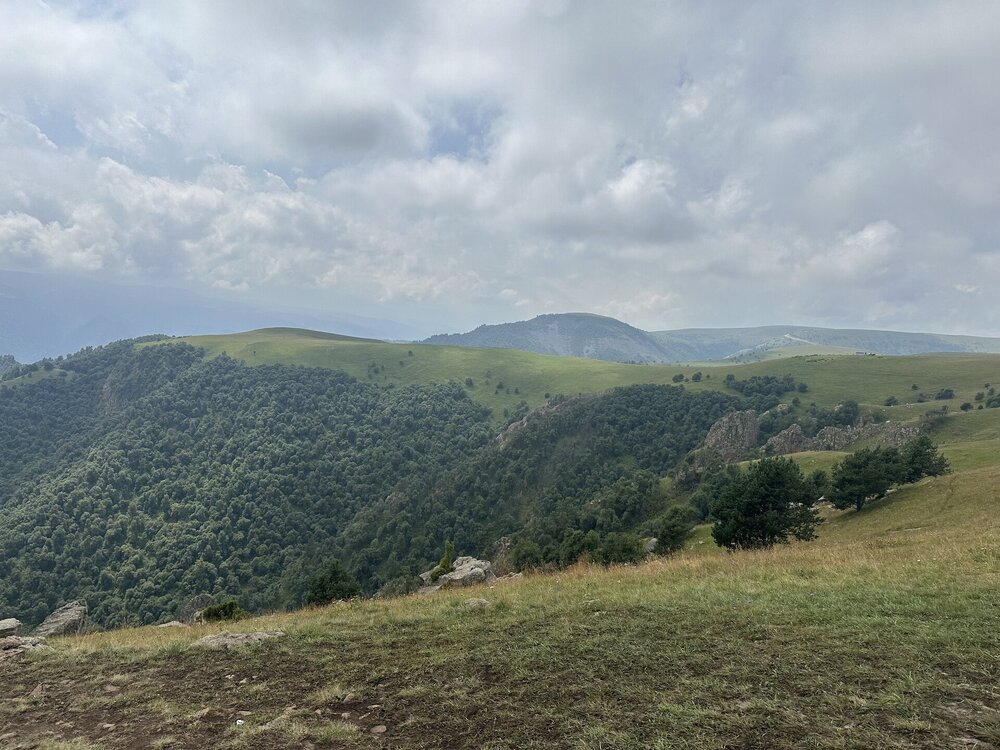 IMG_0193.jpeg