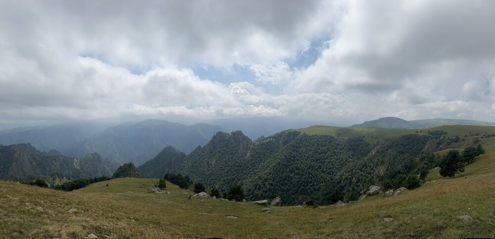 IMG_0202.jpeg