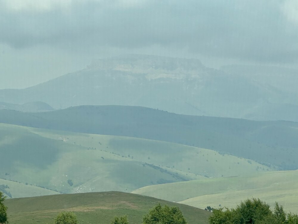IMG_0204.jpeg