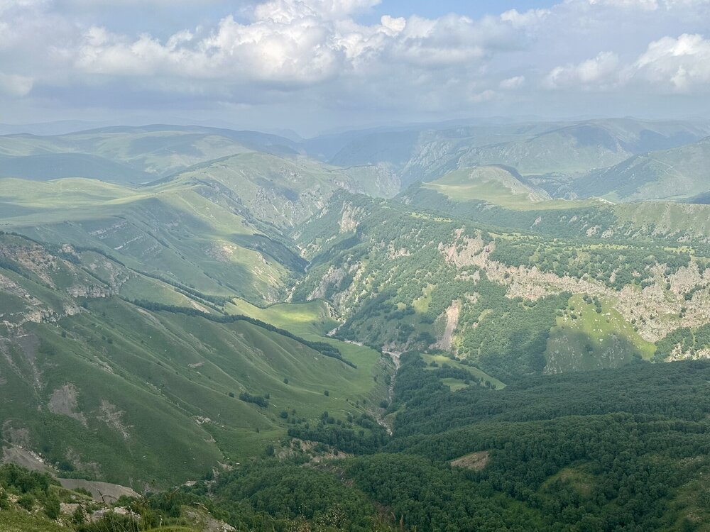 IMG_0324.jpeg