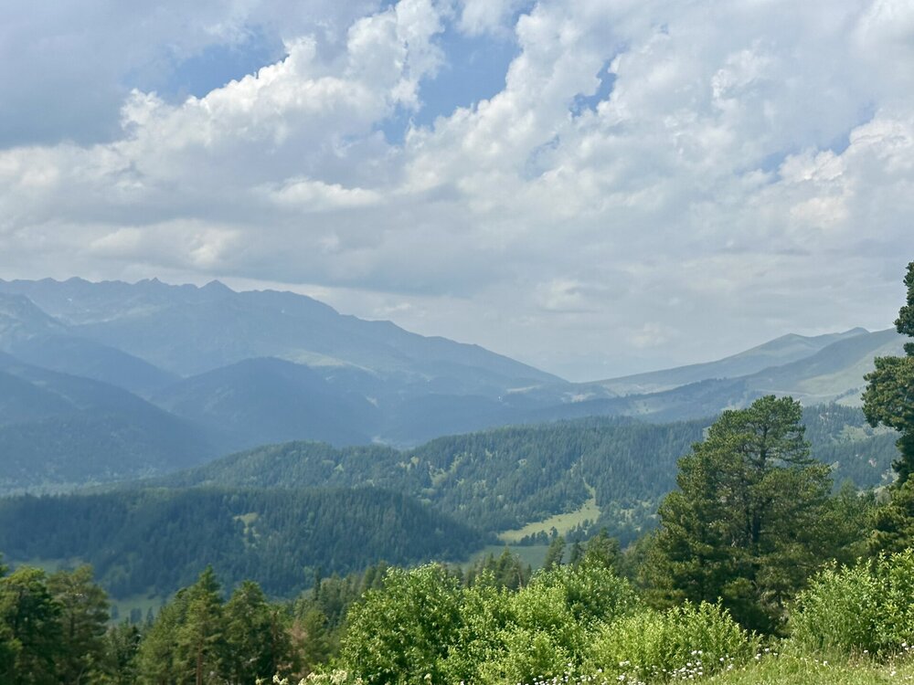 IMG_0480.jpeg