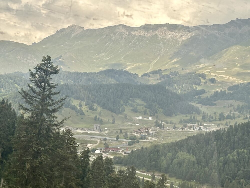 IMG_0500.jpeg