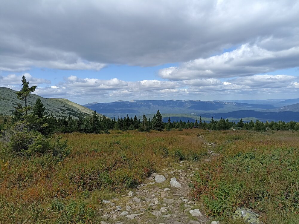 IMG_20210729_130008.jpg
