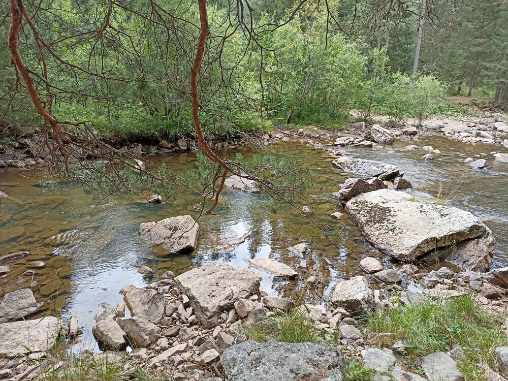 IMG_20210730_102015.jpg