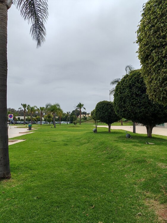 IMG_20250409_130107.jpg
