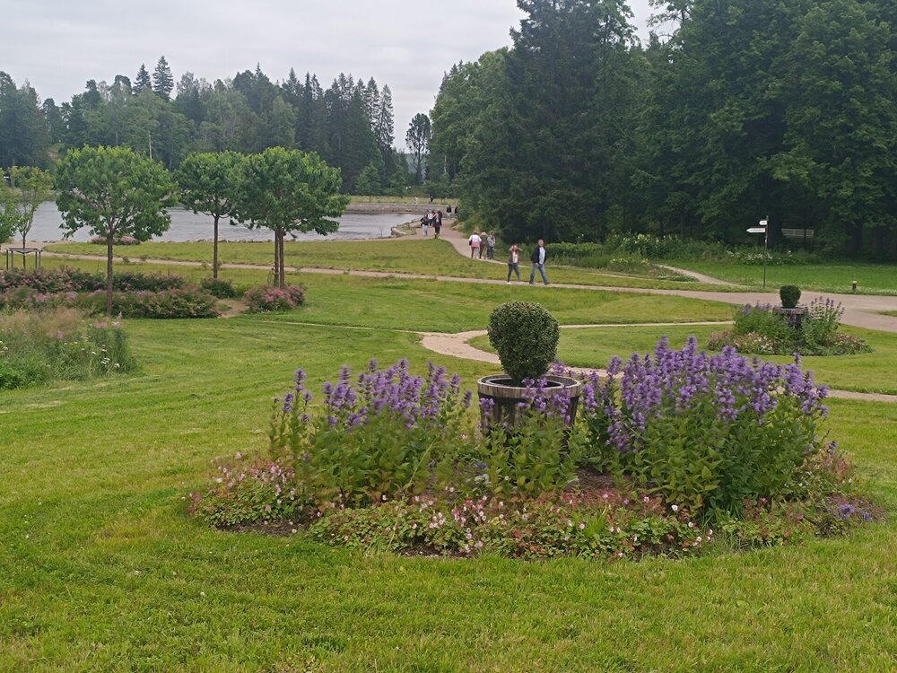 IMG_20250711_133735.jpg