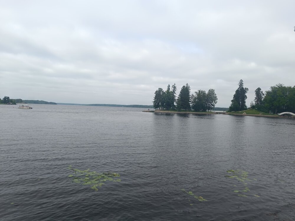 IMG_20250711_134436.jpg
