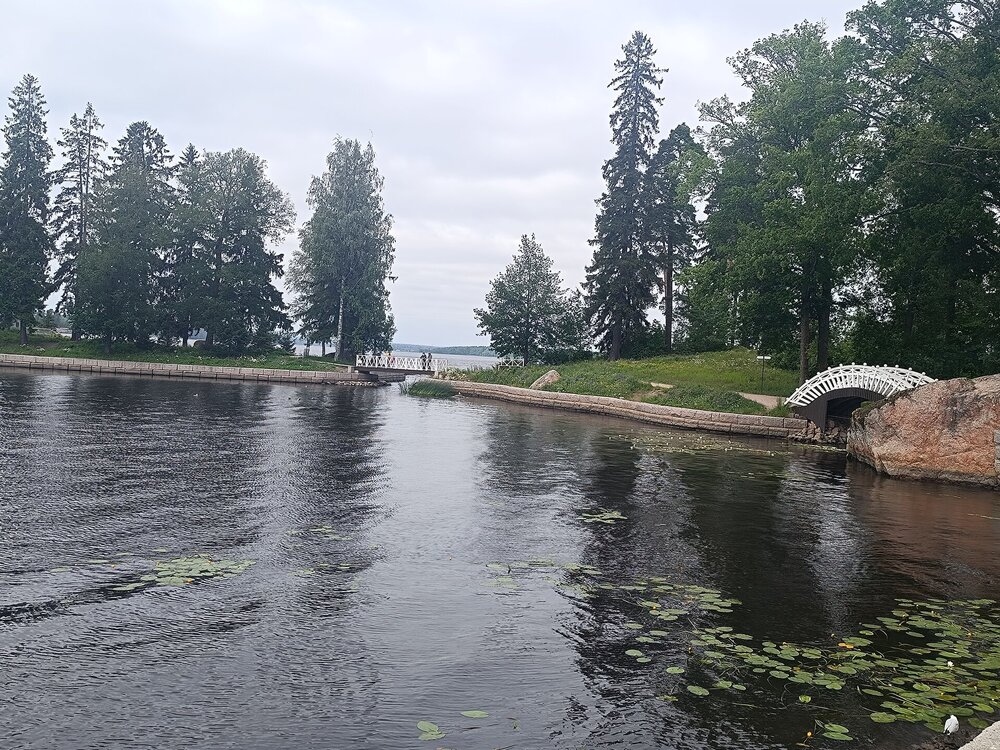IMG_20250711_134635.jpg