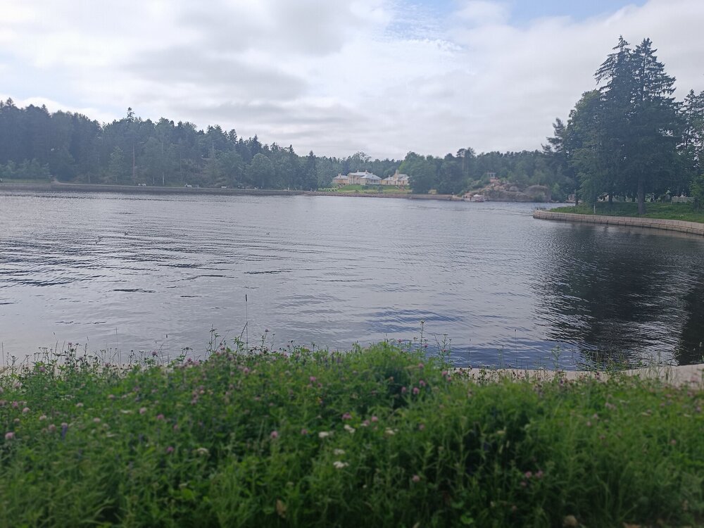 IMG_20250711_135135.jpg
