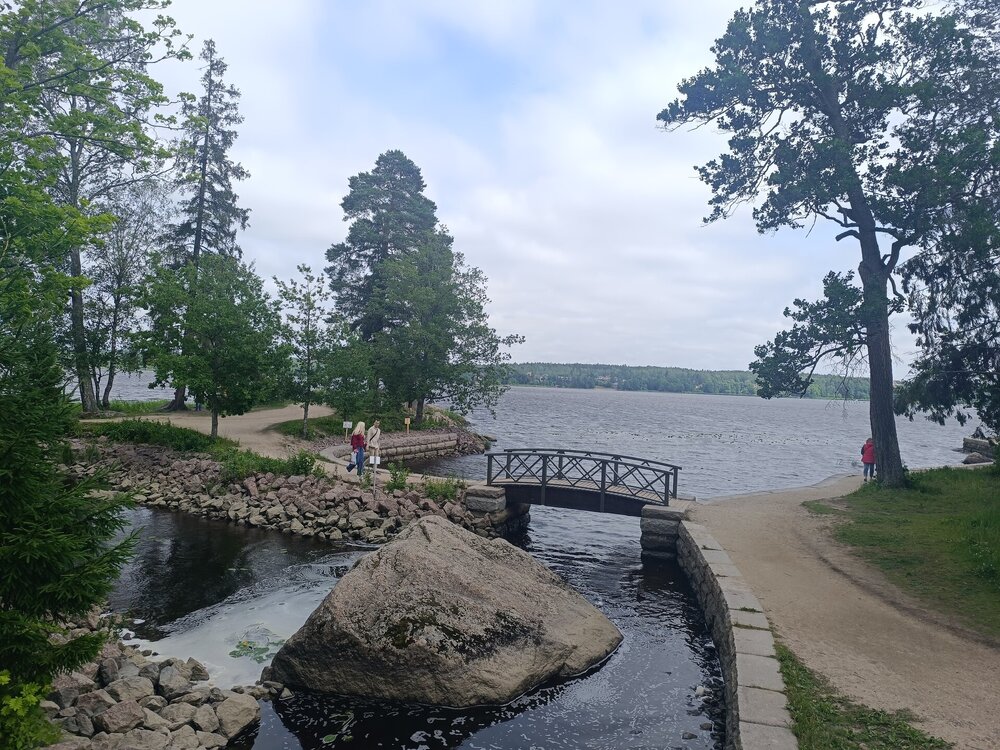 IMG_20250711_135413.jpg