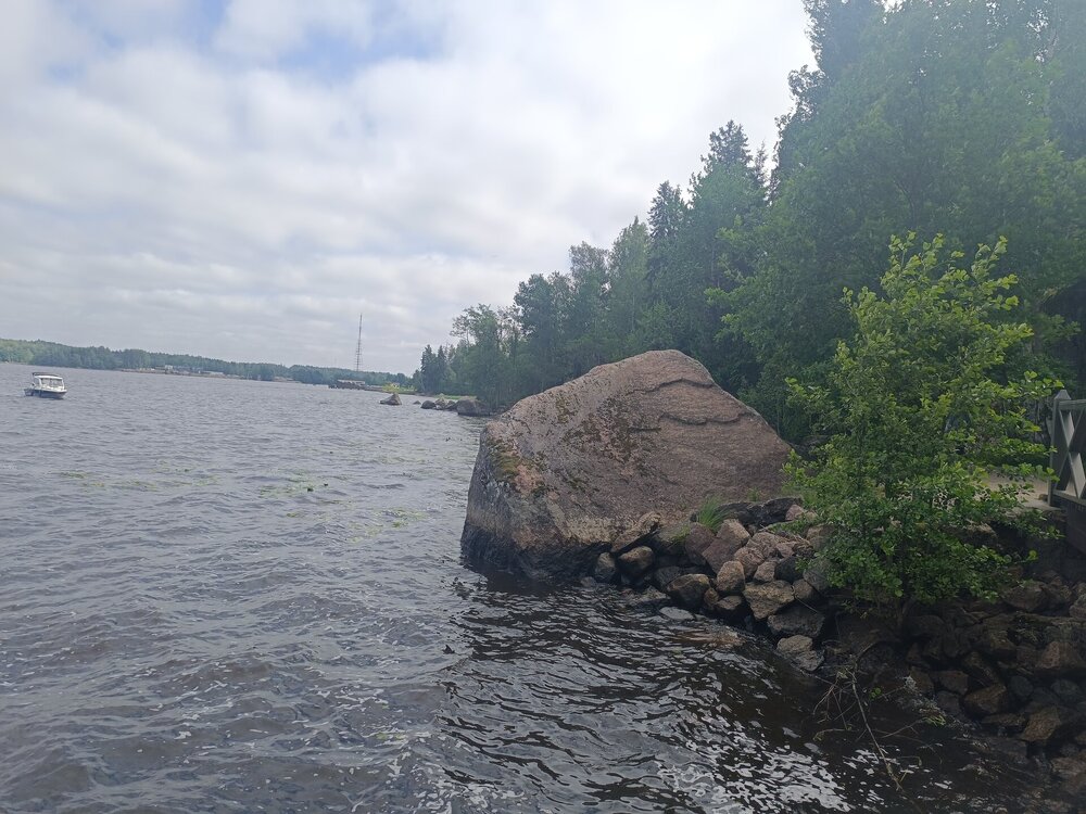 IMG_20250711_141019.jpg