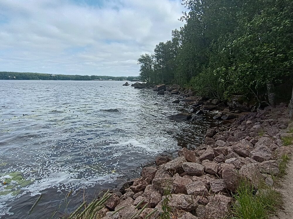 IMG_20250711_141157.jpg