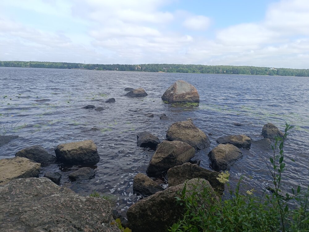 IMG_20250711_143138.jpg