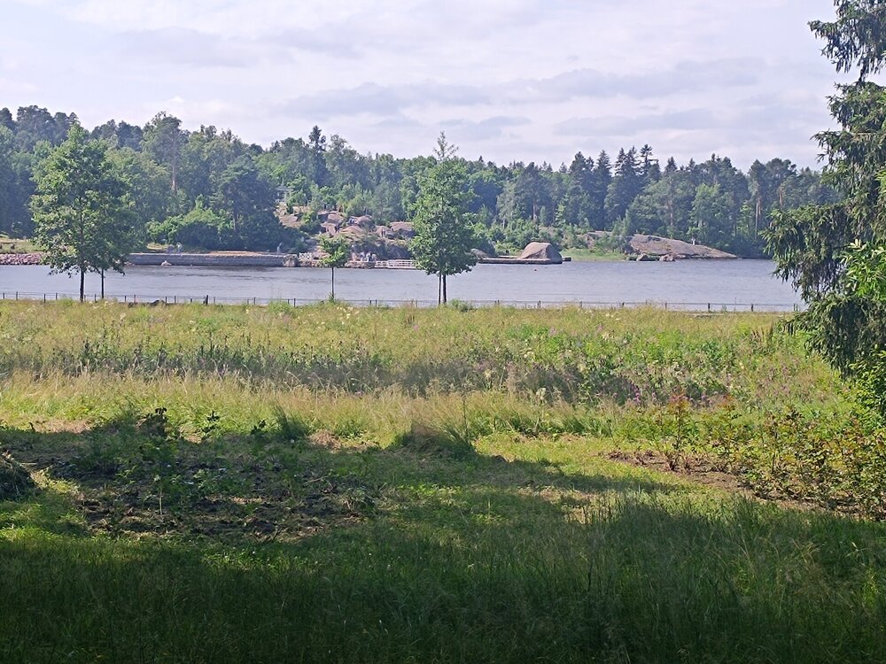 IMG_20250711_144951.jpg