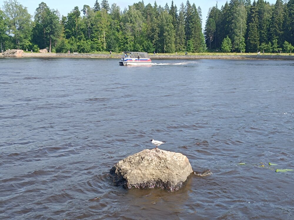IMG_20250711_150117.jpg