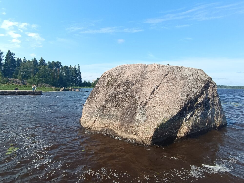 IMG_20250711_152501.jpg