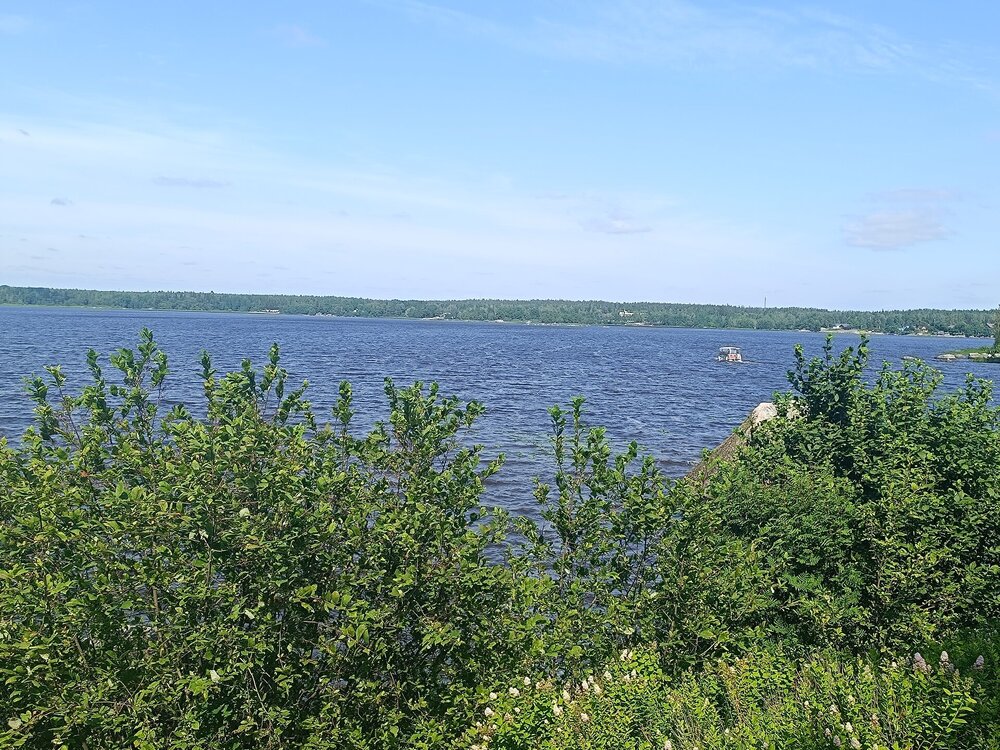 IMG_20250711_152738.jpg