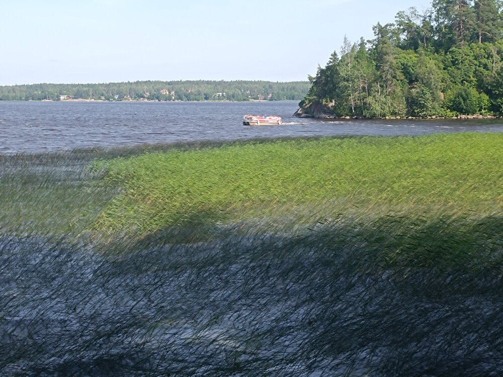 IMG_20250711_160130.jpg