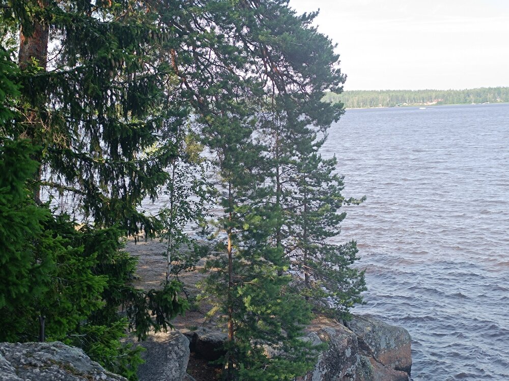 IMG_20250711_161003.jpg