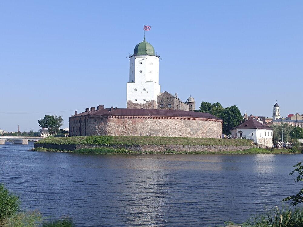 IMG_20250711_170350.jpg