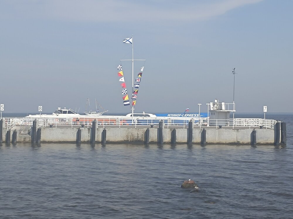 IMG_20250712_115559.jpg