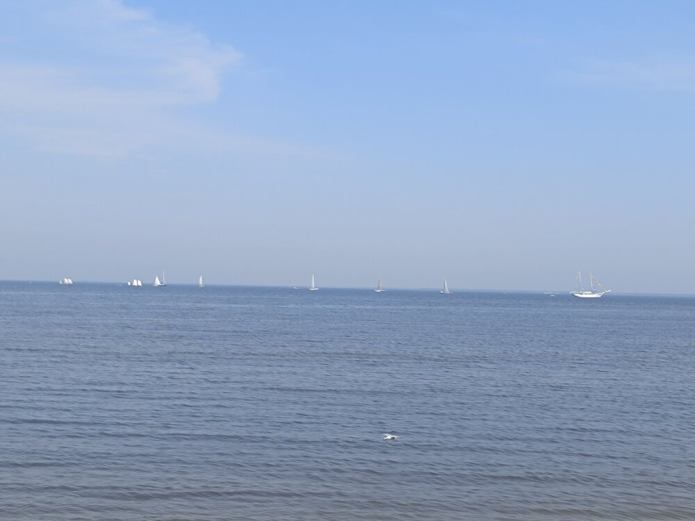 IMG_20250712_123158.jpg