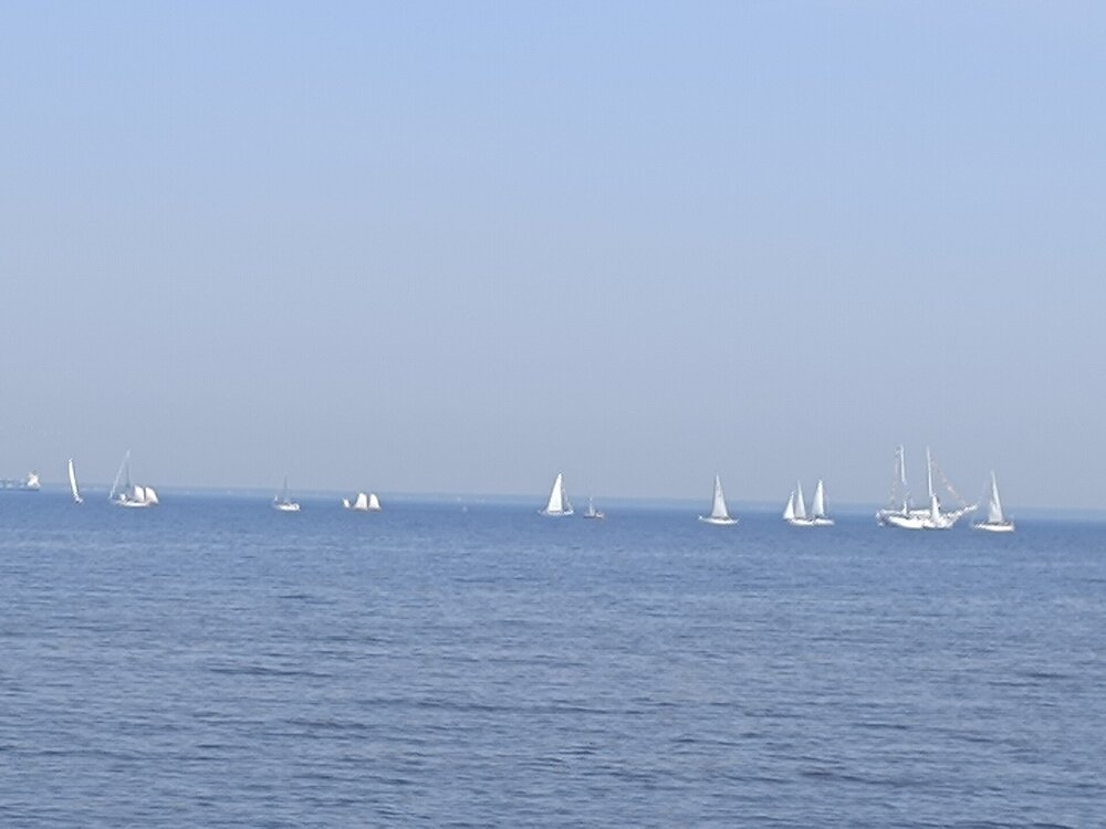 IMG_20250712_125219.jpg