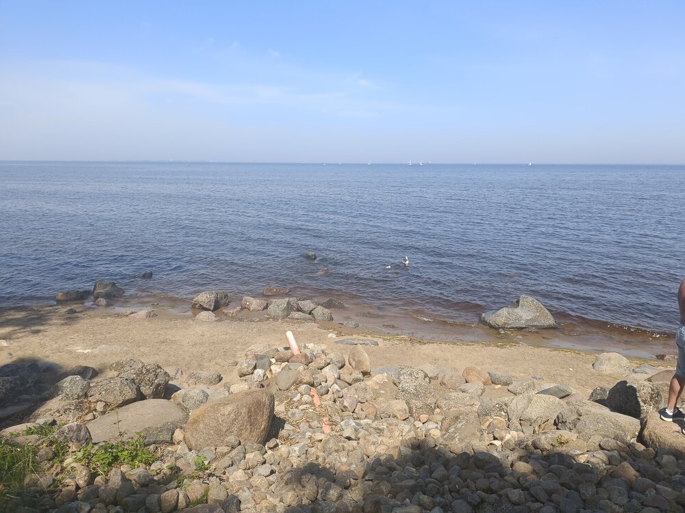 IMG_20250712_125820.jpg