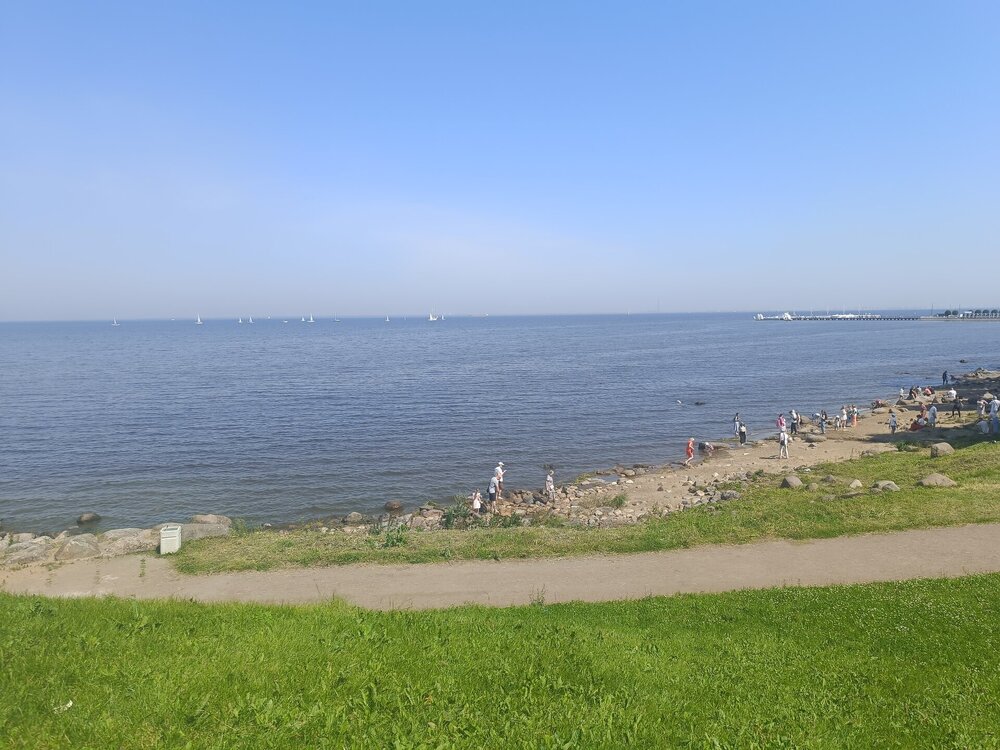 IMG_20250712_130202.jpg
