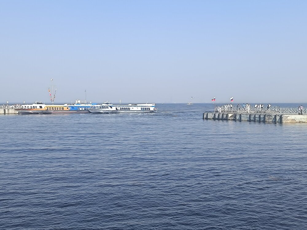 IMG_20250712_143923.jpg