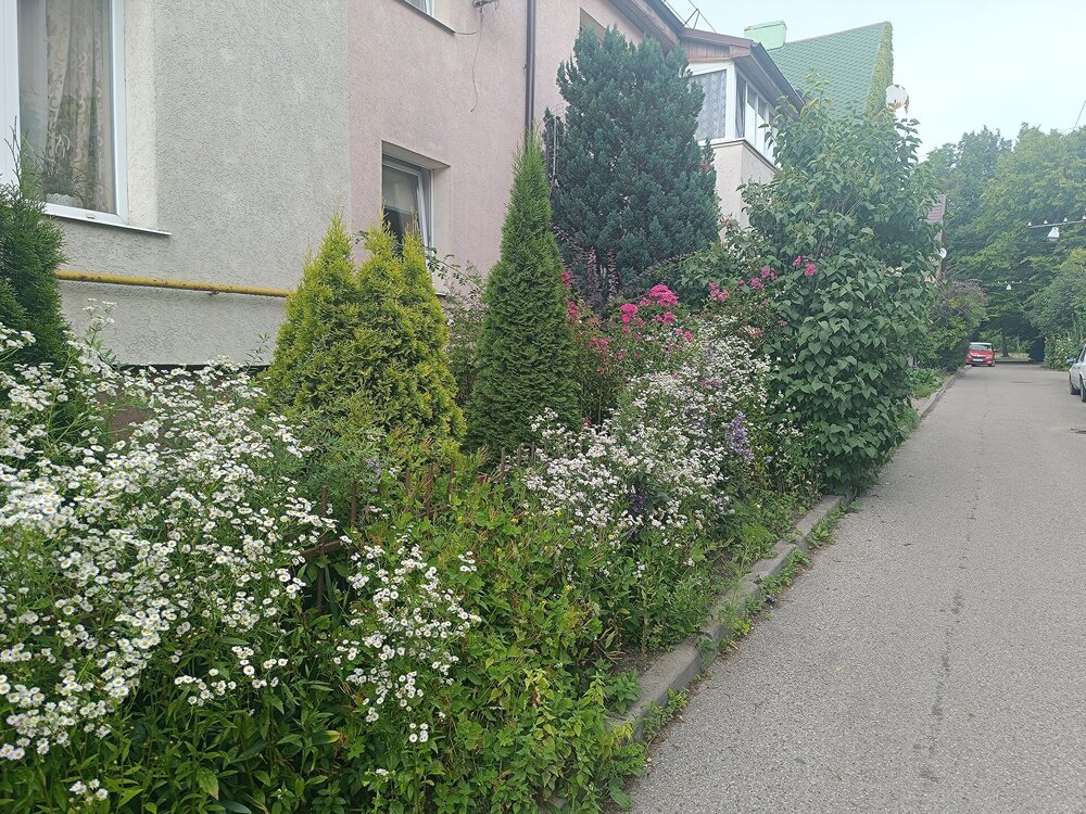 IMG_20250715_120756.jpg