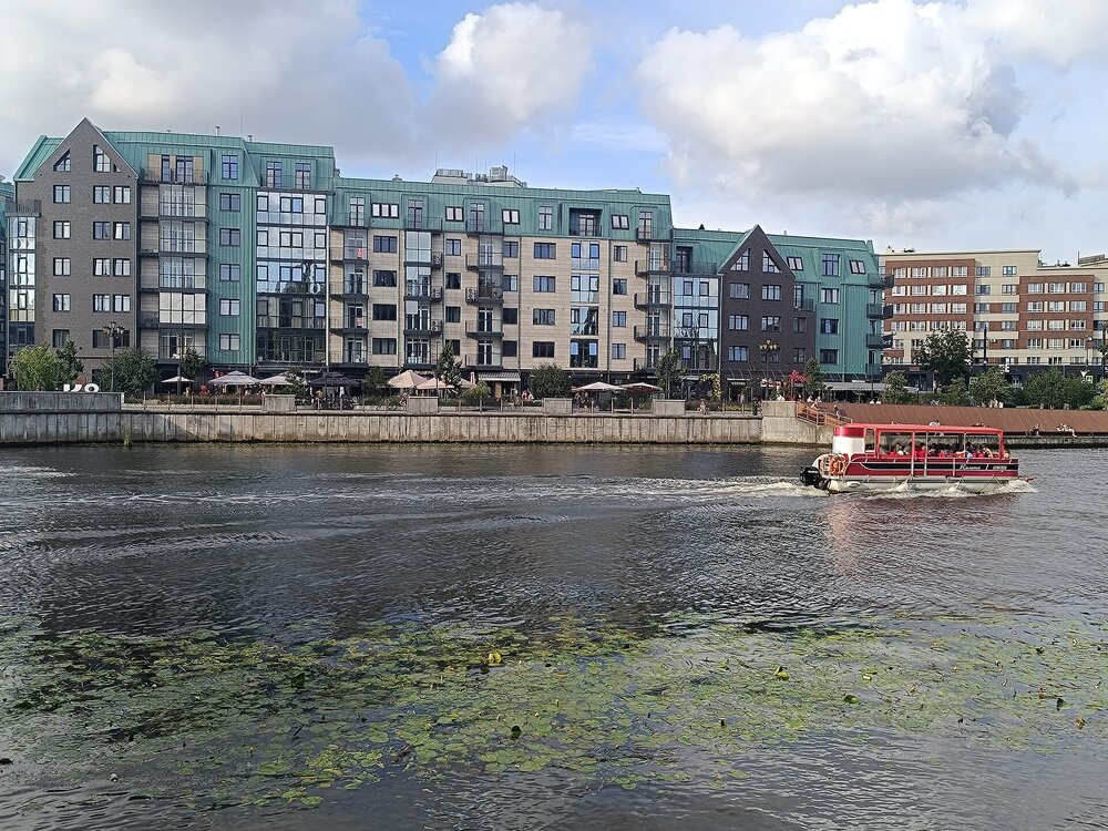 IMG_20250715_182519.jpg