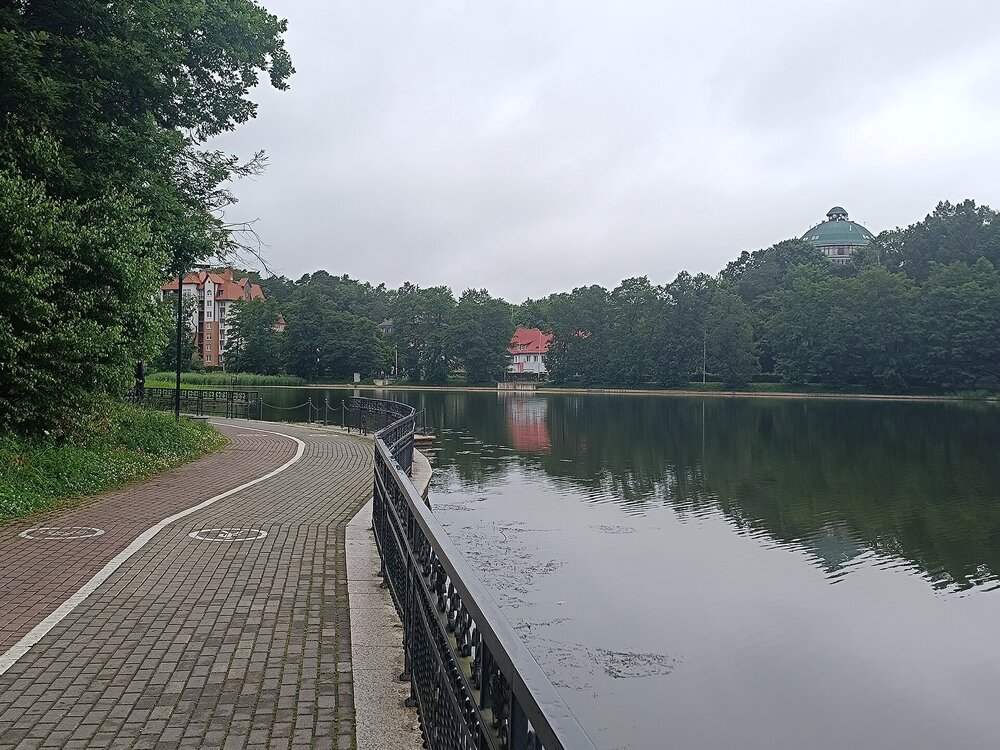 IMG_20250716_103219.jpg