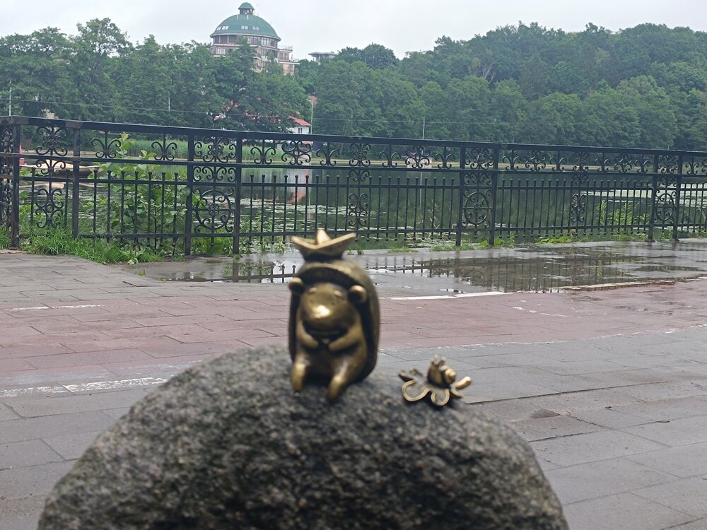 IMG_20250716_104233.jpg